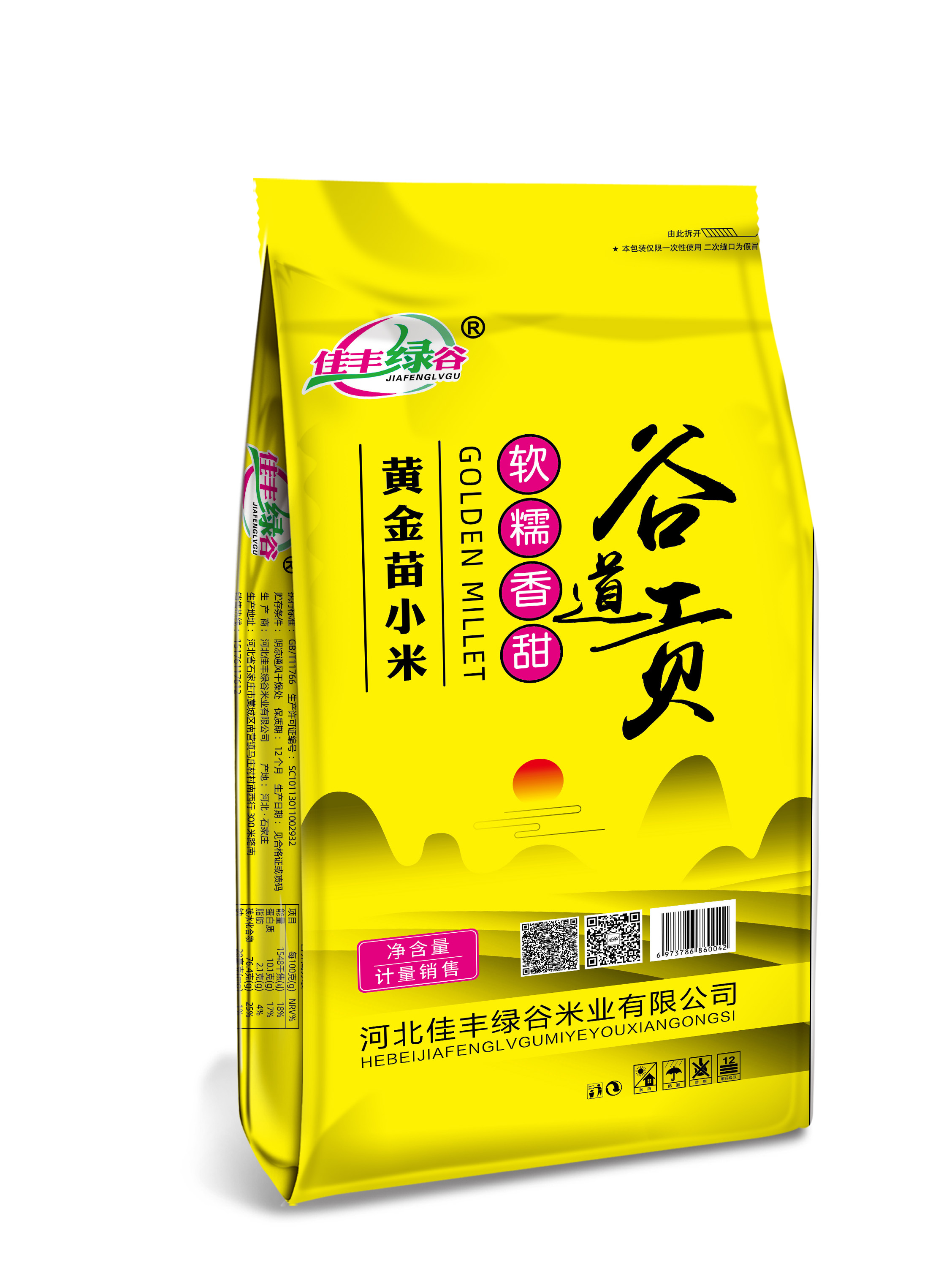 谷道贡黄金苗