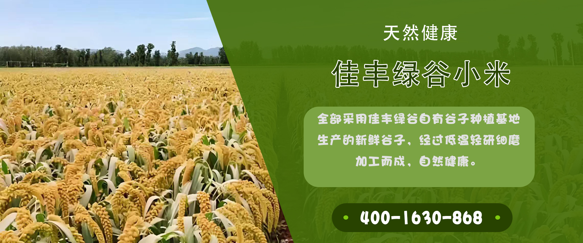 通栏图片