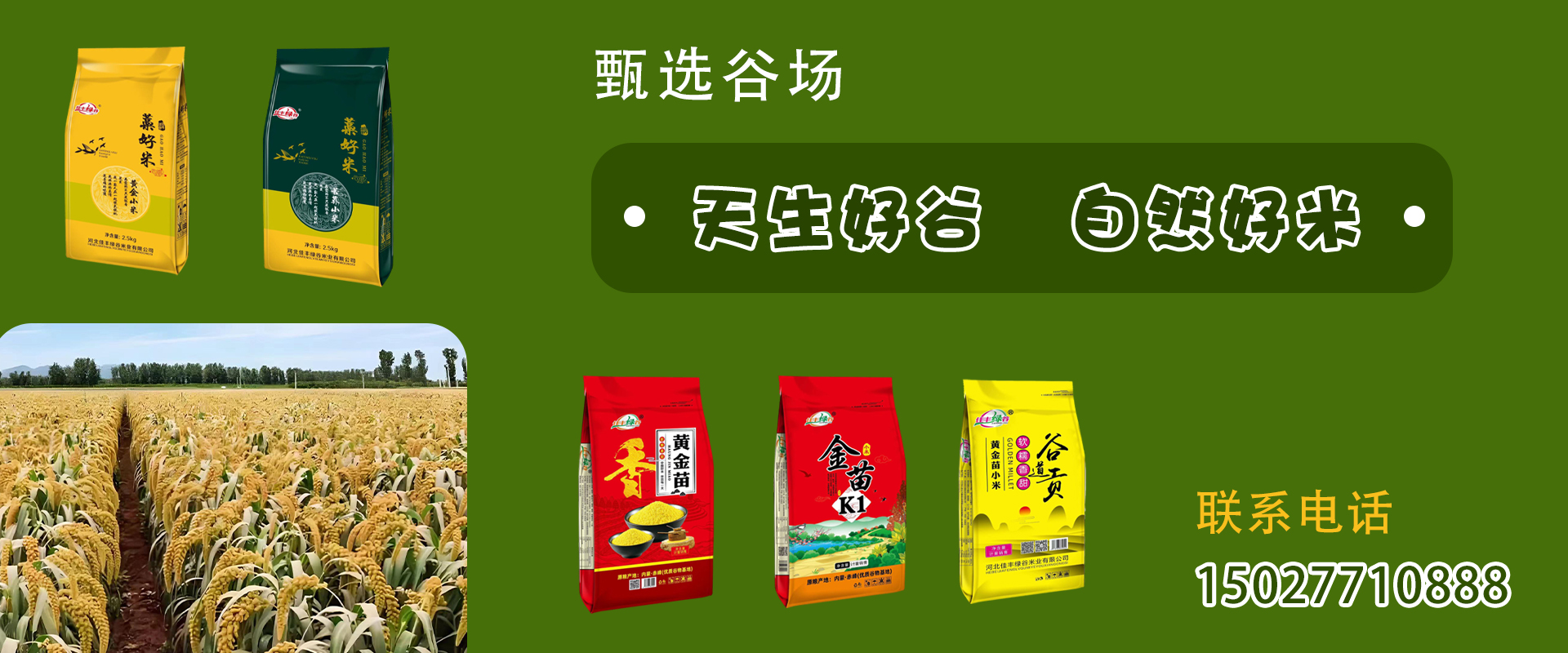 通栏图片